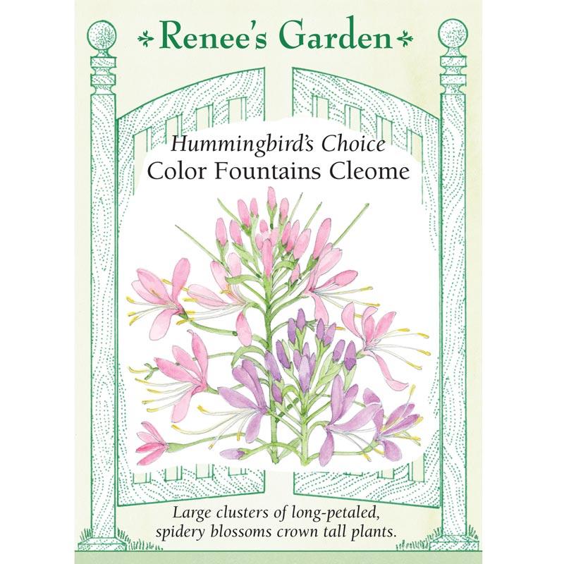 Renee's Garden Cleome Hummingbird Color Fountains (Heirloom) Renee's Garden Cleome Hummingbird Color Fountains (Heirloom) Flower Seed & Bulbs