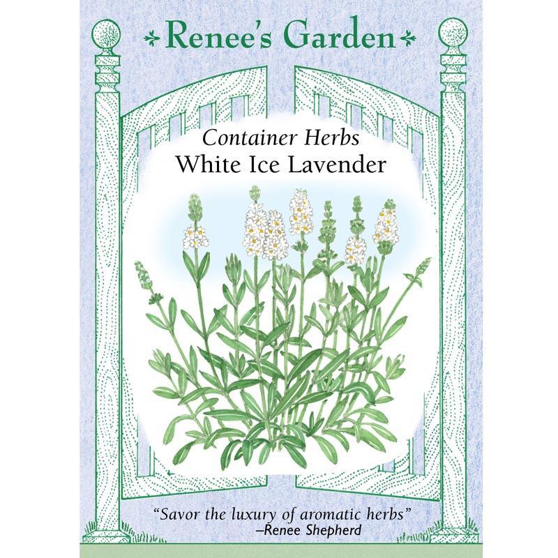 Renee's Garden Container Lavender White Ice - Grow Organic Renee's Garden Container Lavender White Ice Herb Seeds