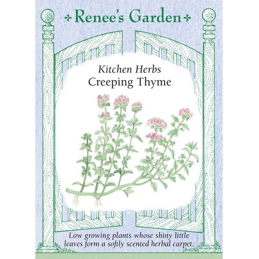 Renee's Garden Creeping Thyme - Grow Organic Renee's Garden Creeping Thyme Herb Seeds