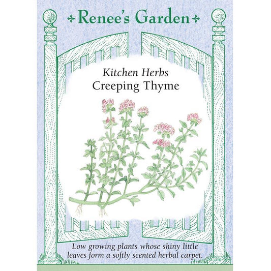 Creeping Thyme Seeds Renee's Garden