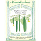 Chelsea Prize English Cucumber Seeds - Grow Organic