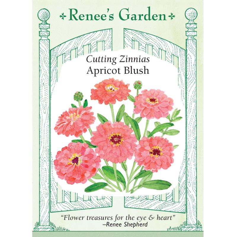 Renee's Garden Cutting Zinnia Apricot Blush - Grow Organic Renee's Garden Cutting Zinnia Apricot Blush Flower Seed & Bulbs