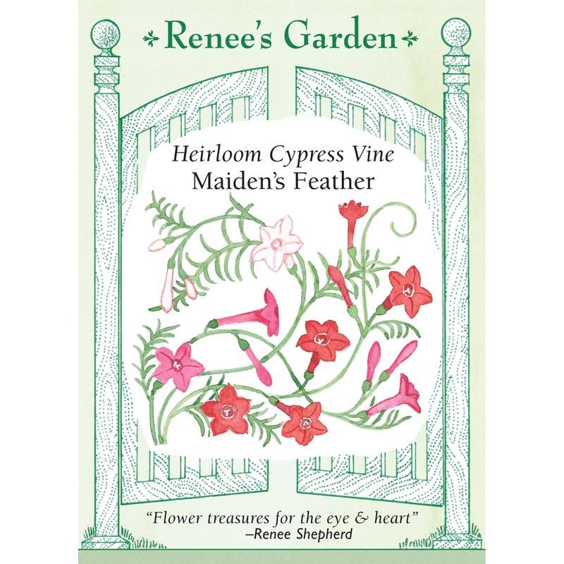 Renee's Garden Cypress Vine Maiden's Feather (Heirloom) Renee's Garden Cypress Vine Maiden's Feather (Heirloom) Flower Seed & Bulbs