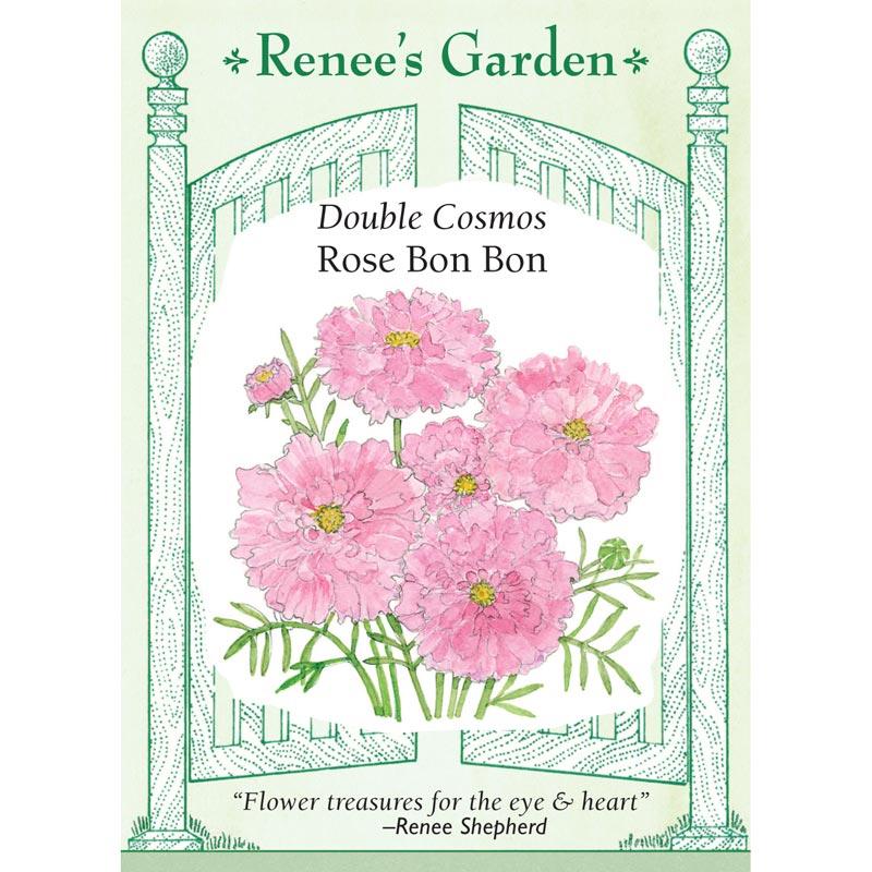 Renee's Garden Double Cosmos Rose Bon Bon - Grow Organic Renee's Garden Double Cosmos Rose Bon Bon Flower Seed & Bulbs