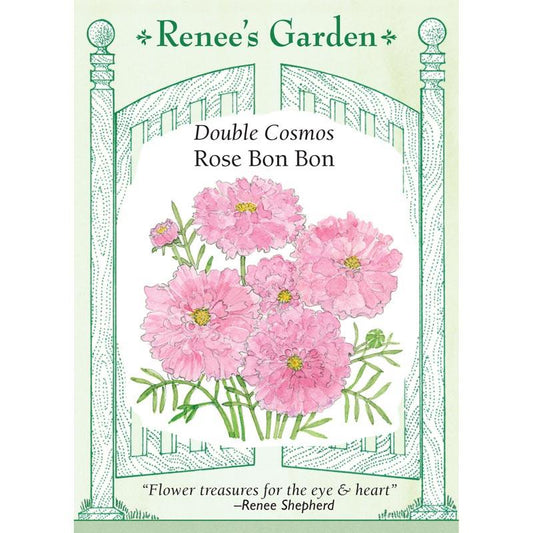 Renee's Garden Double Cosmos Rose Bon Bon - Grow Organic Renee's Garden Double Cosmos Rose Bon Bon Flower Seed & Bulbs