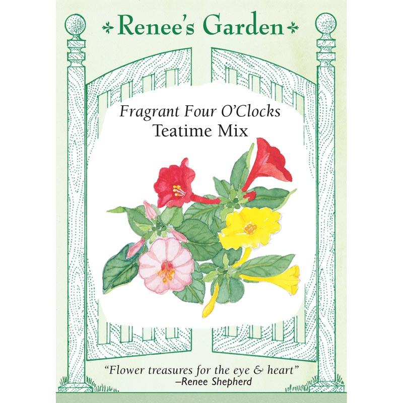 Renee's Garden Four O'Clocks Fragrant Teatime Mix (Heirloom) Renee's Garden Four O'Clocks Fragrant Teatime Mix (Heirloom) Flower Seed & Bulbs