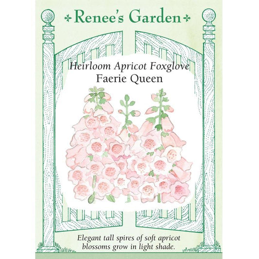 Renee's Garden Foxglove Apricot Faerie Queen (Heirloom) Renee's Garden Foxglove Apricot Faerie Queen (Heirloom) Flower Seed & Bulbs