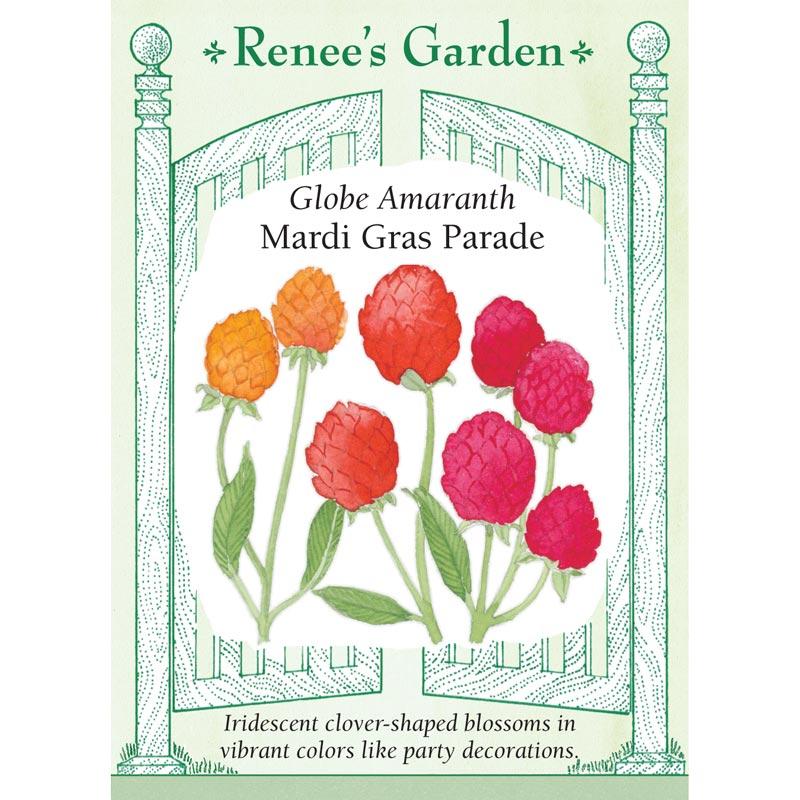 OUT Renee's Garden Globe Amaranth Mardi Gras Parade Heirloom Renee's Garden Globe Amaranth Mardi Gras Parade (Heirloom) Flower Seed & Bulbs