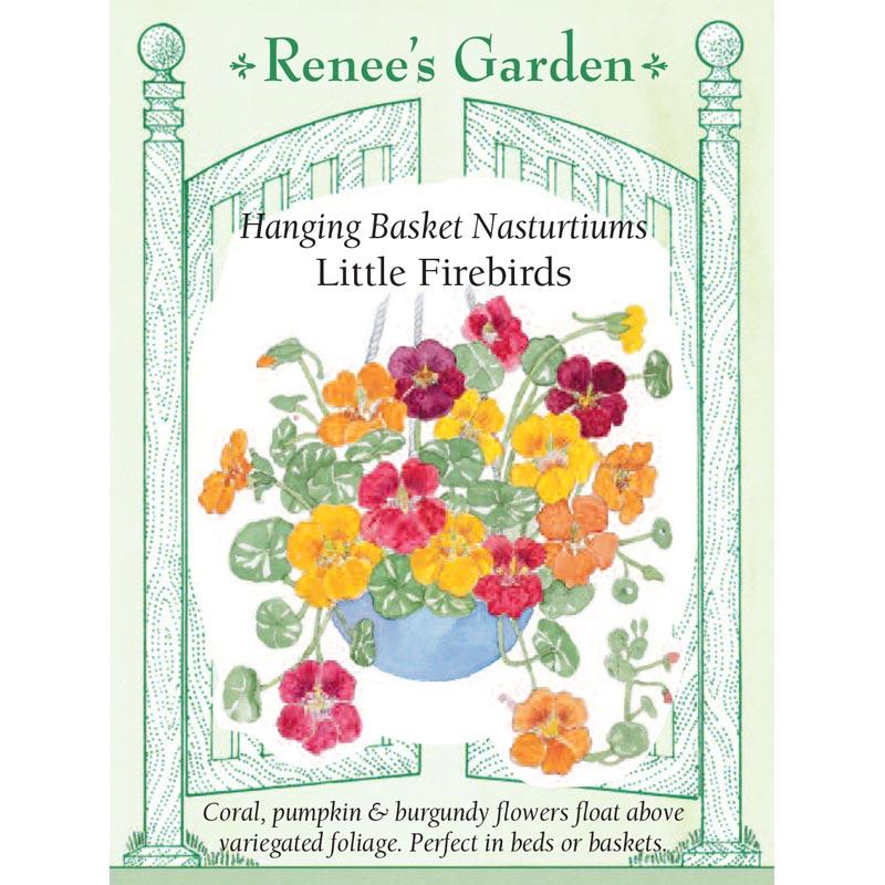 Renee's Garden Hanging Basket Nasturtiums Little Firebirds Renee's Garden Hanging Basket Nasturtiums Little Firebirds Flower Seed & Bulbs