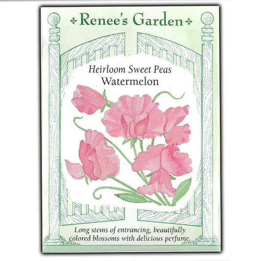Renee's Garden Heirloom Sweet Peas Watermelon - Grow Organic Renee's Garden Heirloom Sweet Peas Watermelon Flower Seed & Bulbs