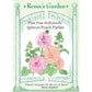 Apricot-Peach Parfait Pom Pom Hollyhock Flower Seeds - Grow Organic