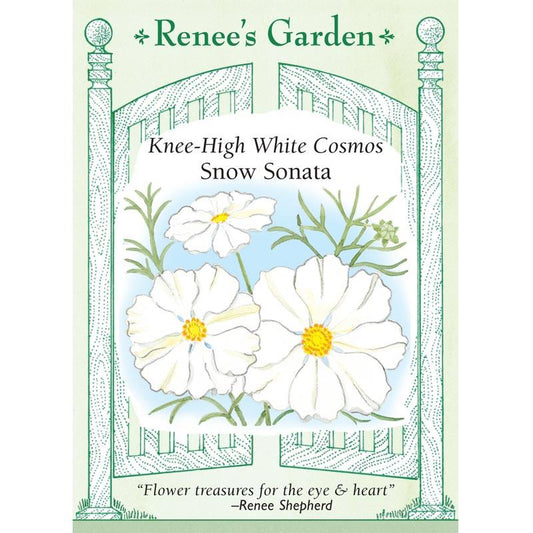 Renee's Garden Knee-High Cosmos White Snow Sonata Renee's Garden Knee-High Cosmos White Snow Sonata Flower Seed & Bulbs