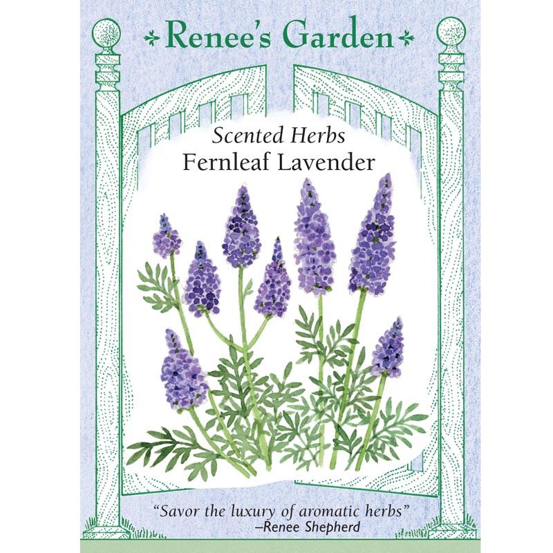Renee's Garden Lavender Fernleaf - Grow Organic Renee's Garden Lavender Fernleaf Herb Seeds