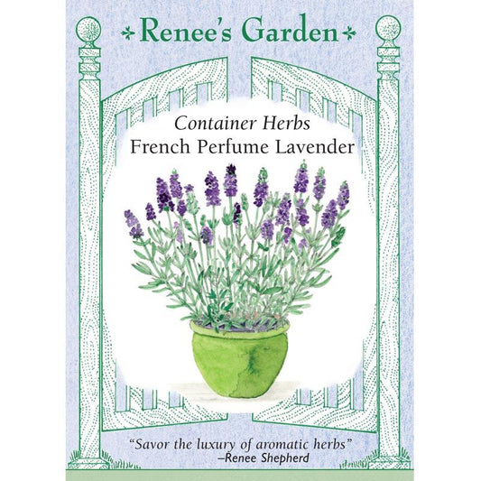 Renee's Garden Lavender French Perfume - Grow Organic Renee's Garden Lavender French Perfume Herb Seeds