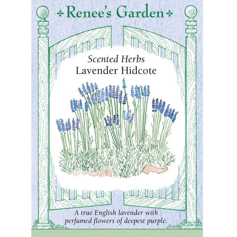 Renee's Garden Lavender Hidcote - Grow Organic Renee's Garden Lavender Hidcote Herb Seeds