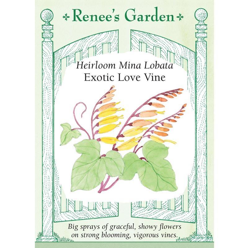 Renee's Garden Mina Lobata Exotic Love Vine (Heirloom) Renee's Garden Mina Lobata Exotic Love Vine (Heirloom) Flower Seed & Bulbs