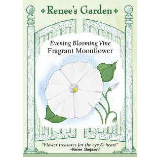 Renee's Garden Moonflower Vine Evening Blooming Fragrant Renee's Garden Moonflower Vine Evening Blooming Fragrant (Heirloom) Flower Seed & Bulbs