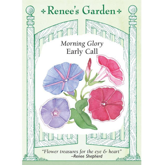 Renee's Garden Morning Glory Early Call (Heirloom) Renee's Garden Morning Glory Early Call (Heirloom) Flower Seed & Bulbs