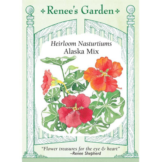 Renee's Garden Nasturtium Alaska Mix (Heirloom) Renee's Garden Nasturtium Alaska Mix (Heirloom) Flower Seed & Bulbs