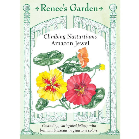 Renee's Garden Nasturtium Climbing Amazon Jewel (Heirloom) Renee's Garden Nasturtium Climbing Amazon Jewel (Heirloom) Flower Seed & Bulbs