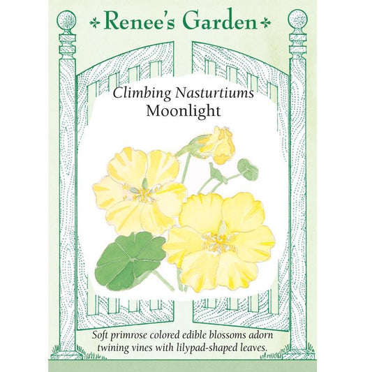 Renee's Garden Nasturtium Climbing Moonlight (Heirloom) Renee's Garden Nasturtium Climbing Moonlight (Heirloom) Flower Seed & Bulbs