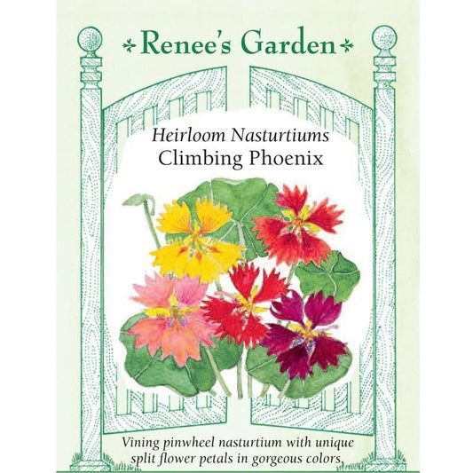 Renee's Garden Nasturtium Climbing Phoenix - Grow Organic Renee's Garden Nasturtium Climbing Phoenix Flower Seed & Bulbs