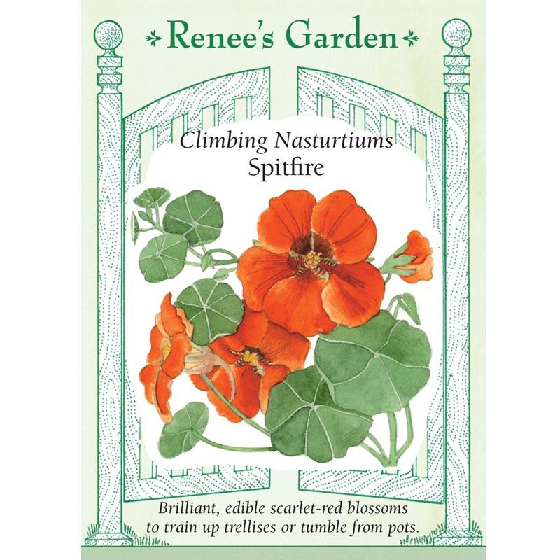 Renee's Garden Nasturtium Climbing Spitfire (Heirloom) Renee's Garden Nasturtium Climbing Spitfire (Heirloom) Flower Seed & Bulbs