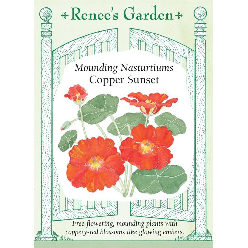 Renee's Garden Nasturtium Mounding Copper Sunset (Heirloom) Renee's Garden Nasturtium Mounding Copper Sunset (Heirloom) Flower Seed & Bulbs