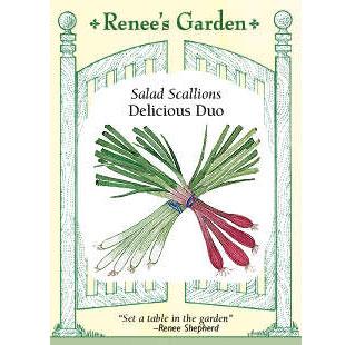 Renee's Garden Onion Scallions Delicious Duo - Grow Organic Renee's Garden Onion Scallions Delicious Duo Vegetable Seeds