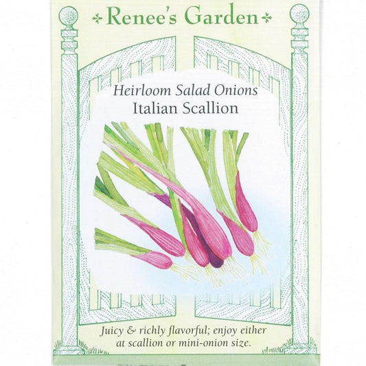 Renee's Garden Onion Scallions Italian (Heirloom) Renee's Garden Onion Scallions Italian (Heirloom) Vegetable Seeds