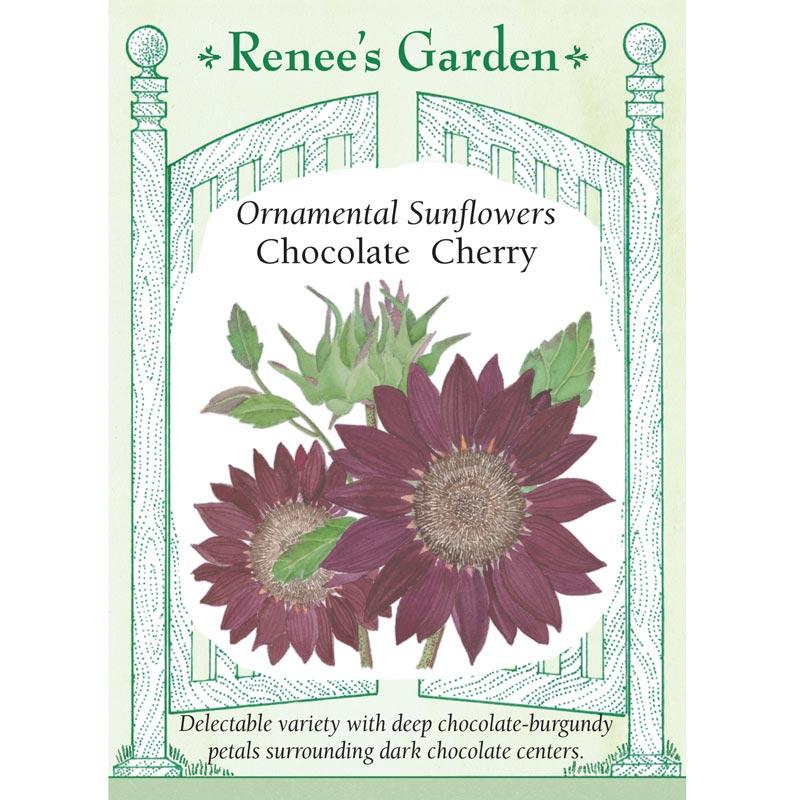 Renee's Garden Ornamental Sunflower Chocolate Cherry Renee's Garden Ornamental Sunflower Chocolate Cherry Flower Seed & Bulbs