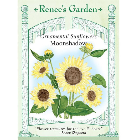 Renee's Garden Ornamental Sunflower Moonshadow Renee's Garden Ornamental Sunflower Moonshadow Flower Seed & Bulbs
