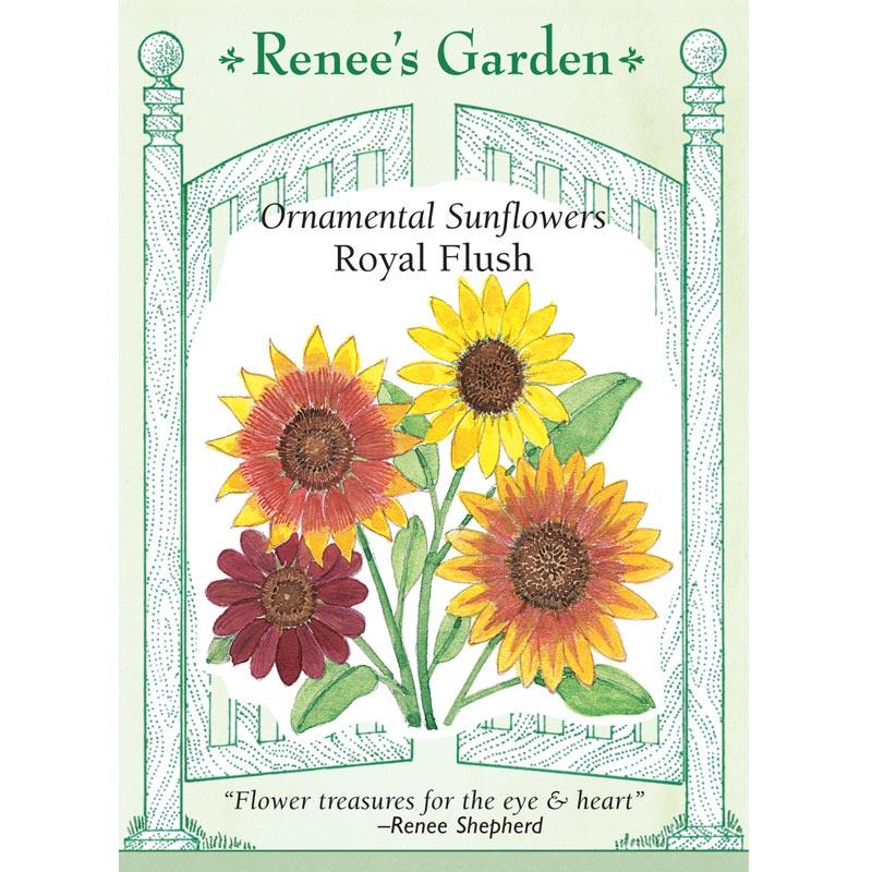 Renee's Garden Ornamental Sunflower Royal Flush Renee's Garden Ornamental Sunflower Royal Flush Flower Seed & Bulbs