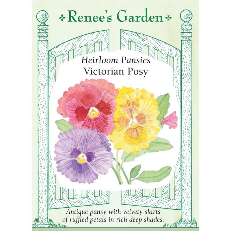 Renee's Garden Pansy Victorian Posy (Heirloom) Renee's Garden Pansy Victorian Posy (Heirloom) Flower Seed & Bulbs