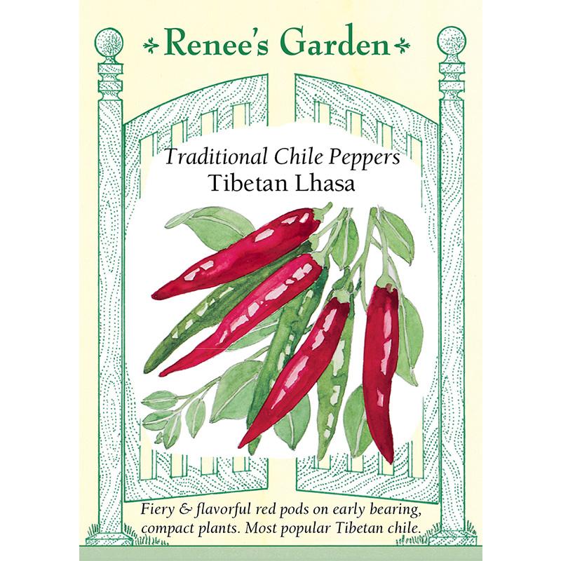 Renee's Garden Pepper Chile Tibetan Lhasa - Grow Organic Renee's Garden Pepper Chile Tibetan Lhasa Vegetable Seeds