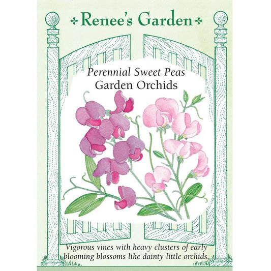 Renee's Garden Perennial Sweet Pea Garden Orchids Renee's Garden Perennial Sweet Pea Garden Orchids Flower Seed & Bulbs