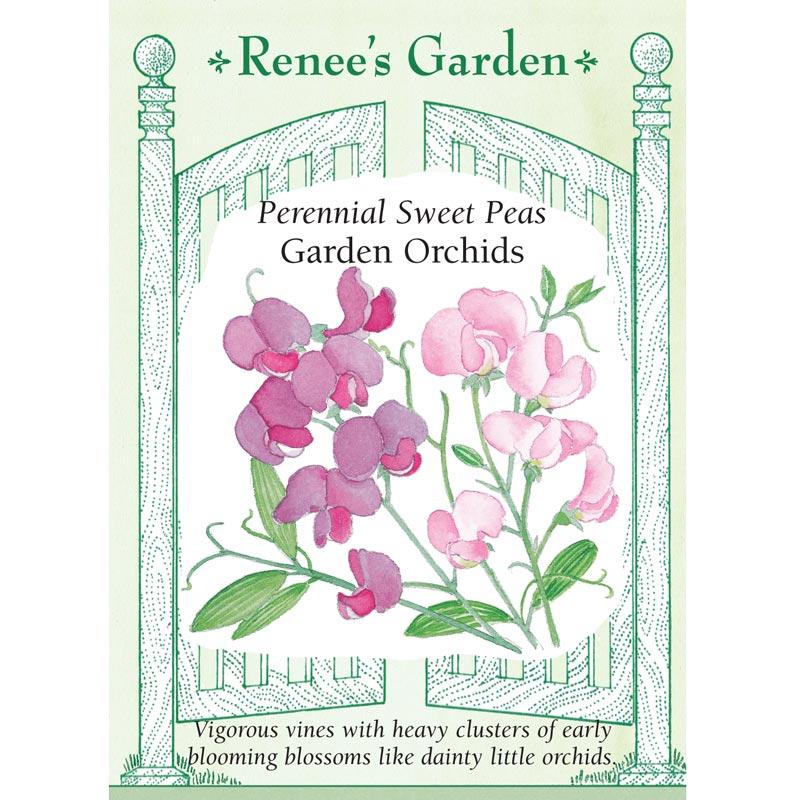 Renee's Garden Perennial Sweet Pea Garden Orchids Renee's Garden Perennial Sweet Pea Garden Orchids Flower Seed & Bulbs