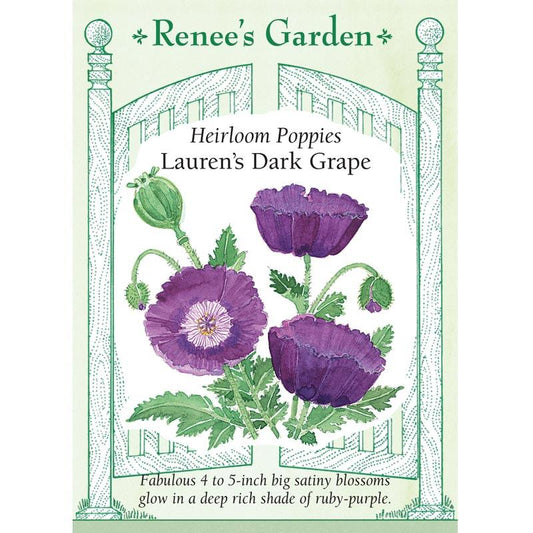 Renee's Garden Poppy California Lauren's Dark Grape Heirloom Renee's Garden Poppy California Lauren's Dark Grape (Heirloom) Flower Seed & Bulbs