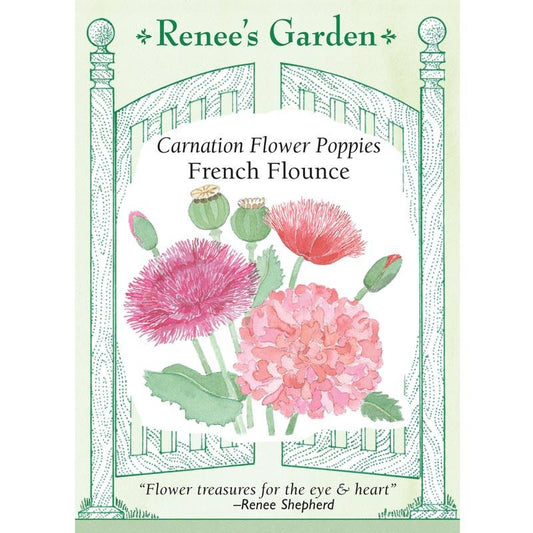Renee's Garden Poppy Carnation French Flounce - Grow Organic Renee's Garden Poppy Carnation French Flounce Flower Seed & Bulbs