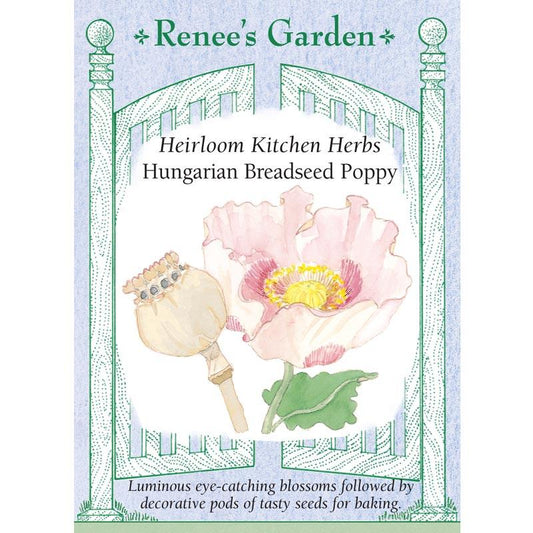 Renee's Garden Poppy Hungarian Breadseed - Grow Organic Renee's Garden Poppy Hungarian Breadseed Herb Seeds