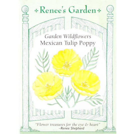 Renee's Garden Poppy Mexican Tulip - Grow Organic Renee's Garden Poppy Mexican Tulip Flower Seed & Bulbs