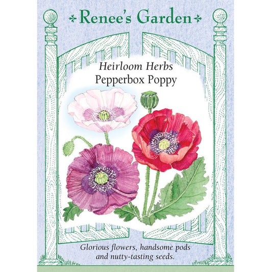 Renee's Garden Poppy Pepperbox (Heirloom) - Grow Organic Renee's Garden Poppy Pepperbox (Heirloom) Herb Seeds