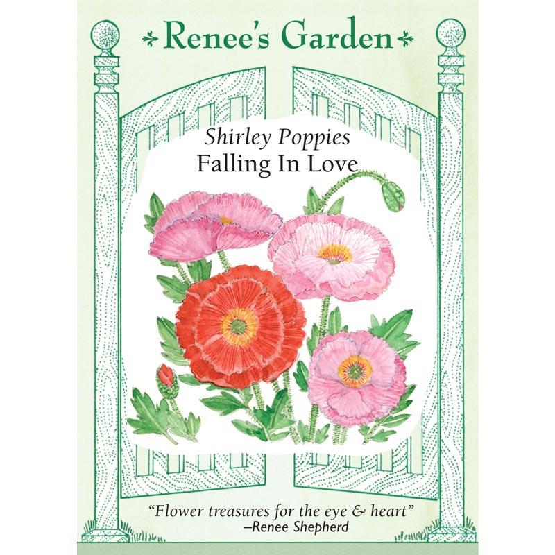 Renee's Garden Poppy Shirley Falling in Love - Grow Organic Renee's Garden Poppy Shirley Falling in Love Flower Seed & Bulbs