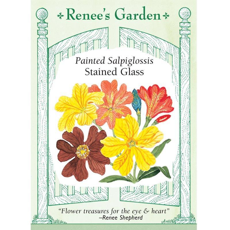 Painted Stained Glass Salpiglossis Flower Seeds - Grow Organic