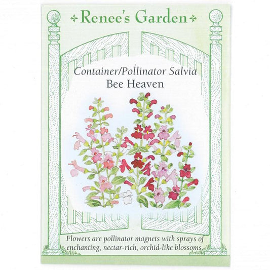 Renee's Garden Salvia Bee Heaven Container - Grow Organic Renee's Garden Salvia Bee Heaven Container Flower Seed & Bulbs