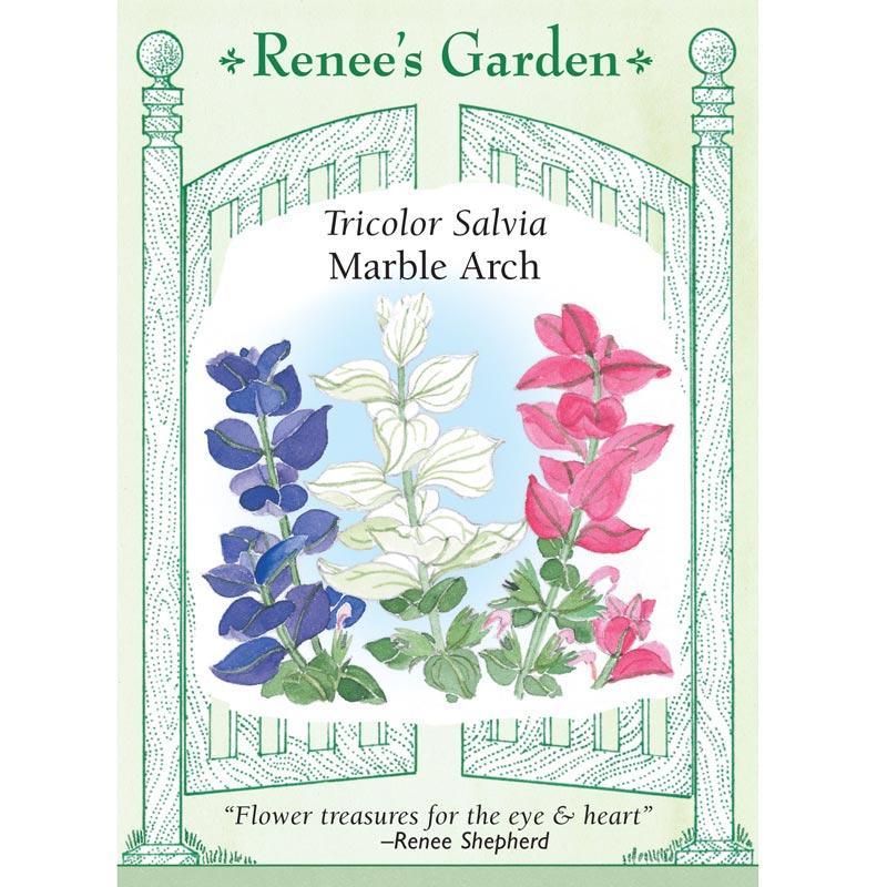 Marble Arch Butterfly Salvia Flower Seeds - Grow Organic