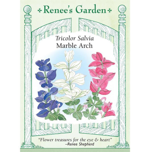 Renee's Garden Salvia Butterfly Marble Arch - Grow Organic Renee's Garden Salvia Butterfly Marble Arch Flower Seed & Bulbs