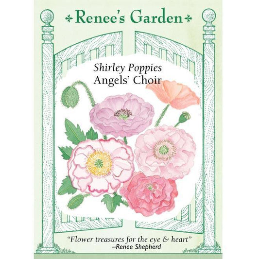 Renee's Garden Shirley Poppy Angel's Choir - Grow Organic Renee's Garden Shirley Poppy Angel's Choir Flower Seed & Bulbs