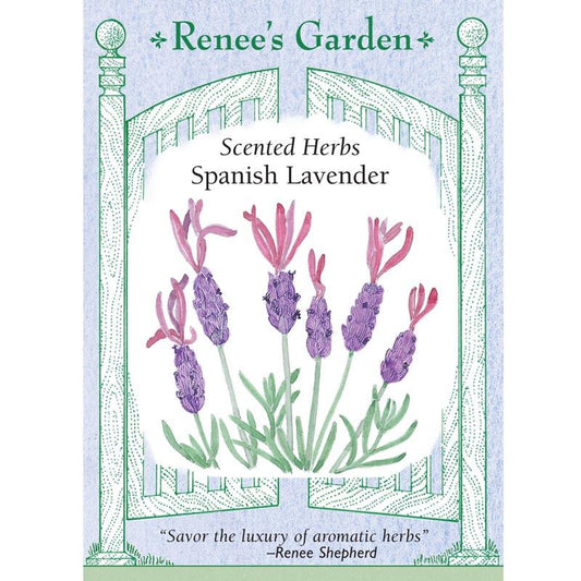 Renee's Garden Spanish Lavender Purple Ribbons Renee's Garden Spanish Lavender Purple Ribbons Herb Seeds