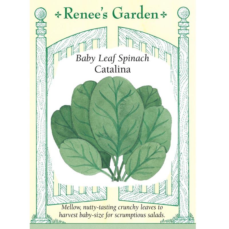 Renee's Garden Spinach Baby Leaf Catalina - Grow Organic Renee's Garden Spinach Baby Leaf Catalina Vegetable Seeds